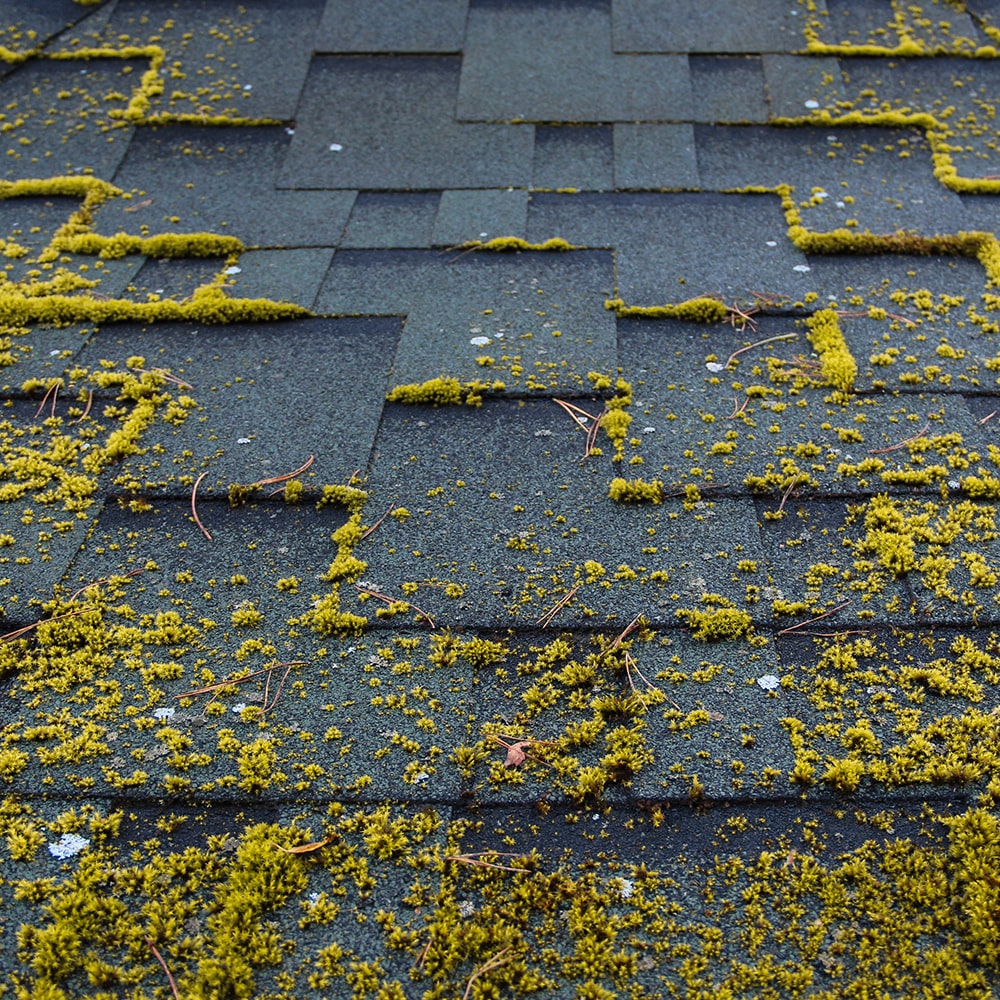 Roof Repair Stony Plain