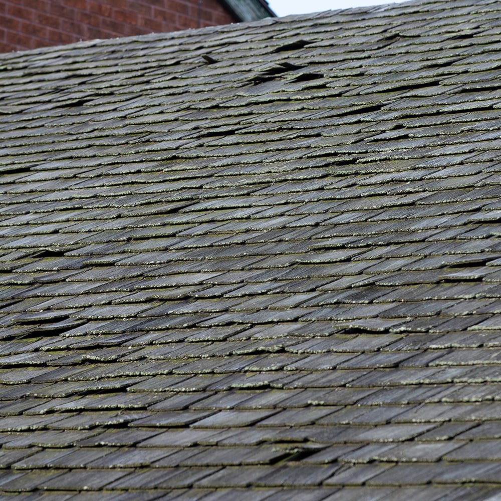 Roof Repair Spruce Grove